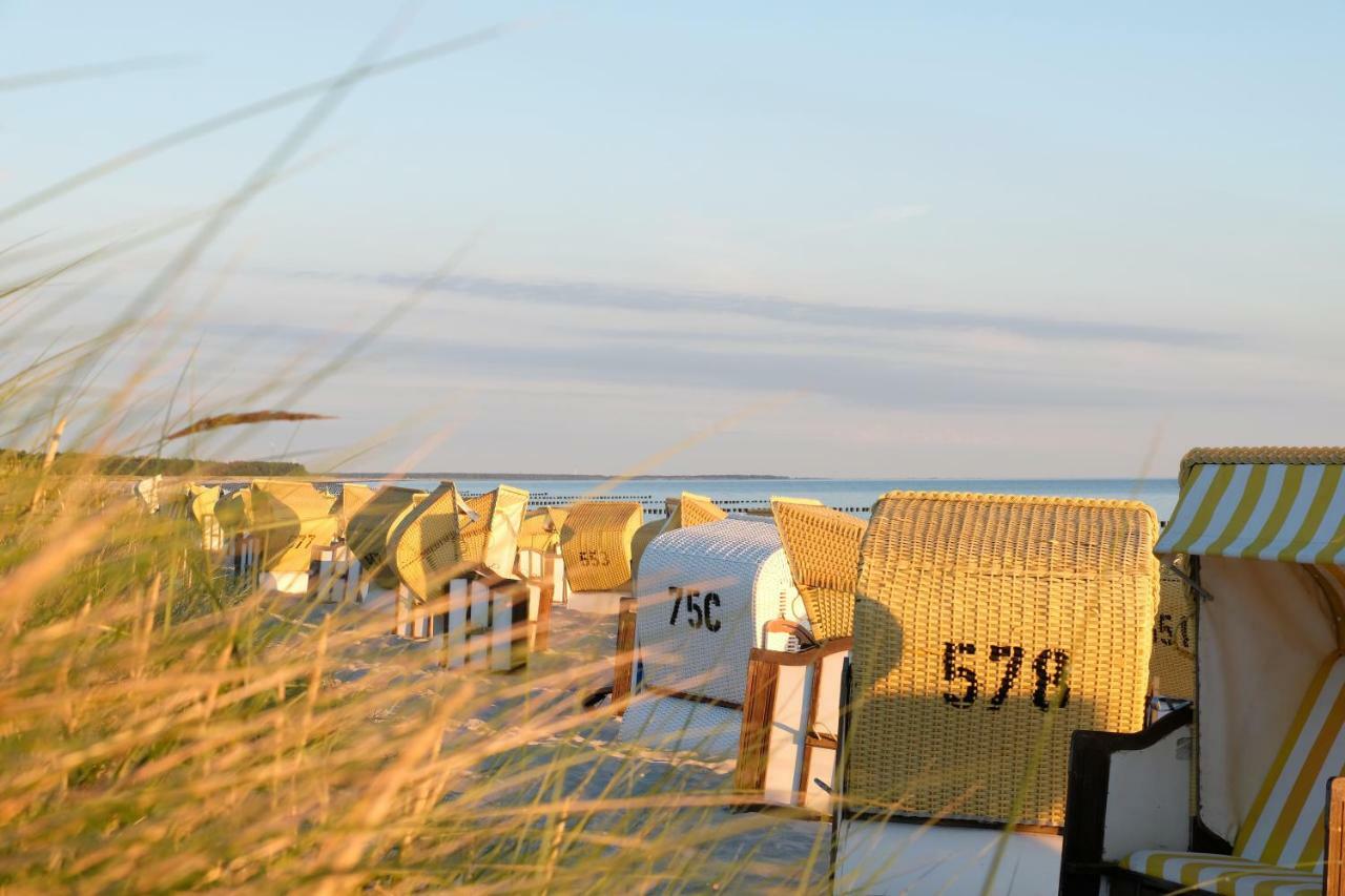 Hotel Meerlust Zingst Kültér fotó